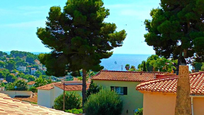 Glimpse of the Mediterranean through the pines